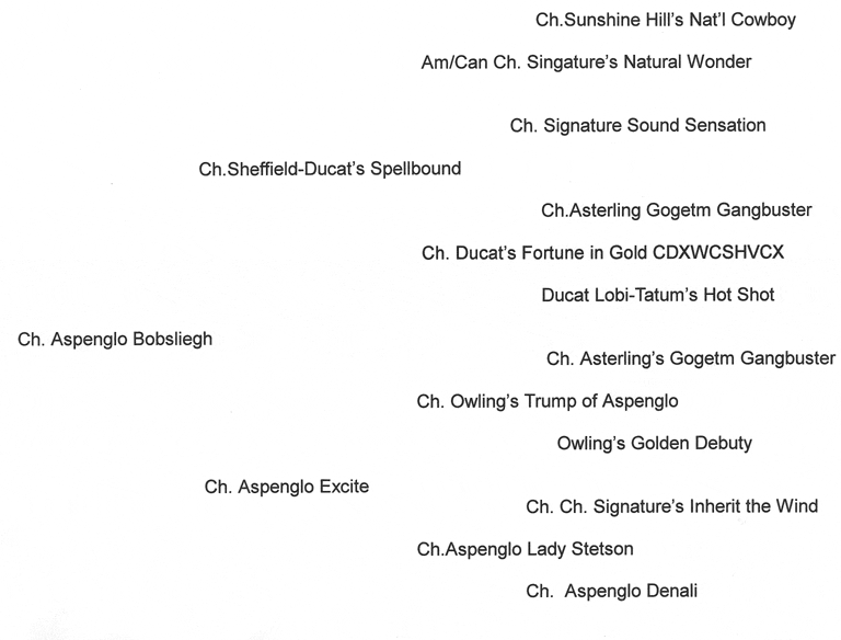 A table with several different types of names.